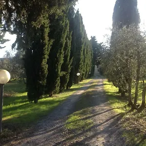 Sunshine Florencia