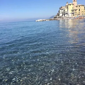 Lamarina , Camogli Italy